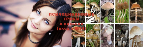 прущий лед Беломорск