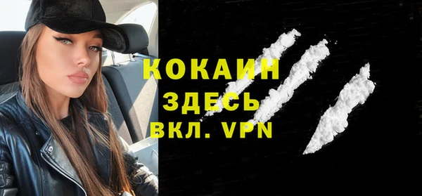 дживик Богородицк